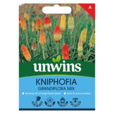 5051618035460 1 Kniphofia Grandiflora Mix Seeds.jpg